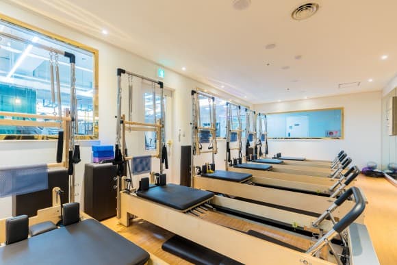 보리스짐 사진 4